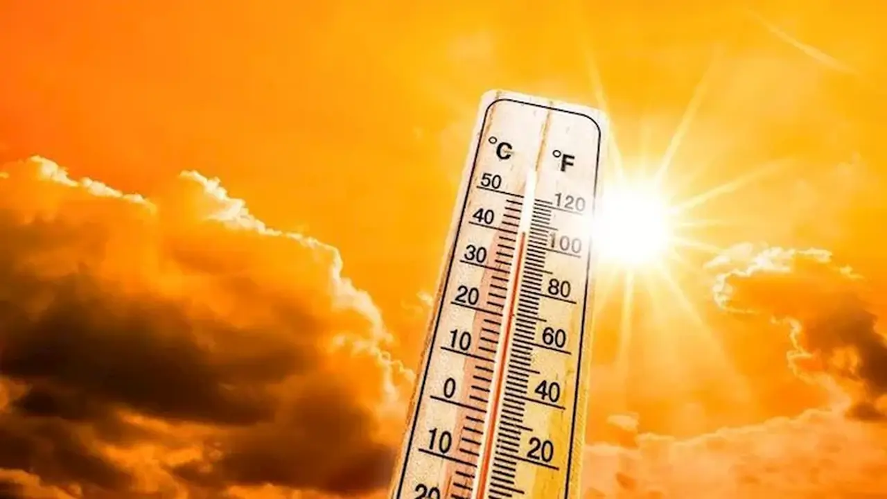 شبورة كثيفة وحرارة مرتفعة غدًا في حالة الطقس المتوقعة
